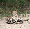 Three days on safari in November!