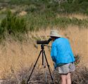 Recent Birding Trip: Texas