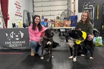 Adopt a Pup day for the Erie Humane Society