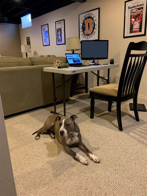 Working from home March-April 2020