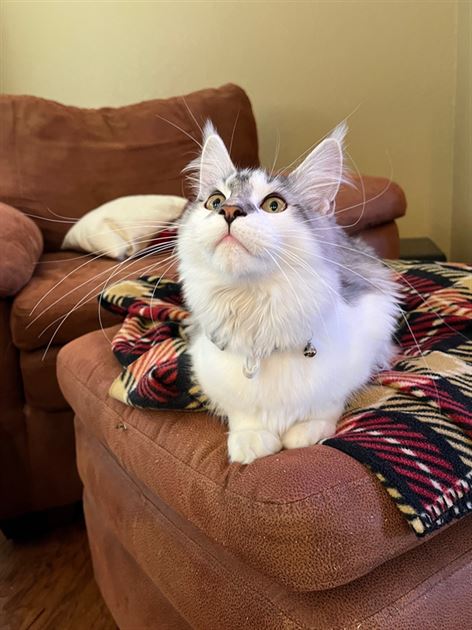 The Little Things in Life