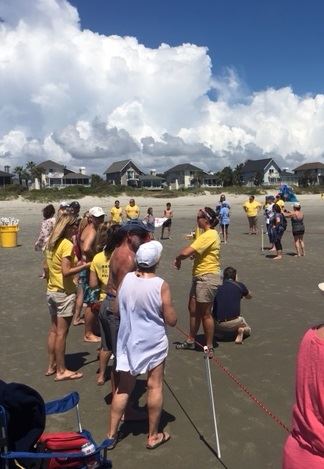 Sea turtle release party!