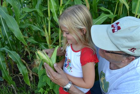 Community and Interests