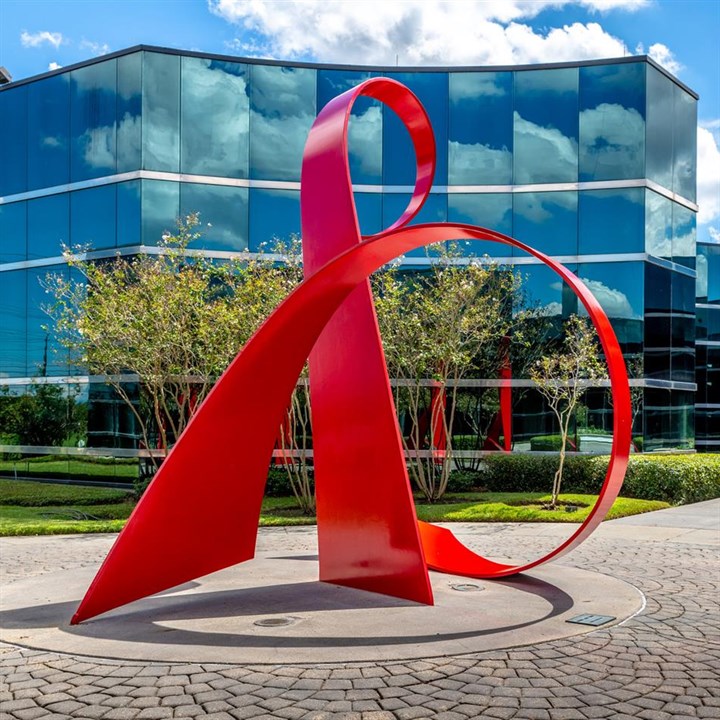 Dana Bives - Houston, TX