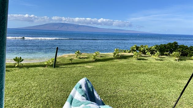 Maui Delight