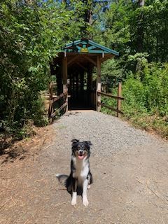 Bruno at Camp Canyonview