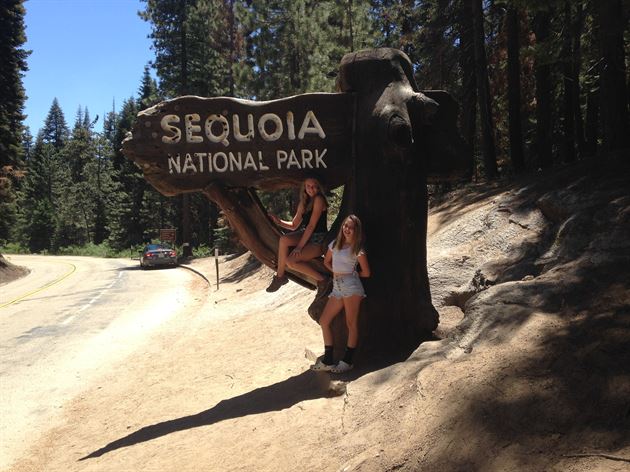 Vacation Pictures in Sequoia