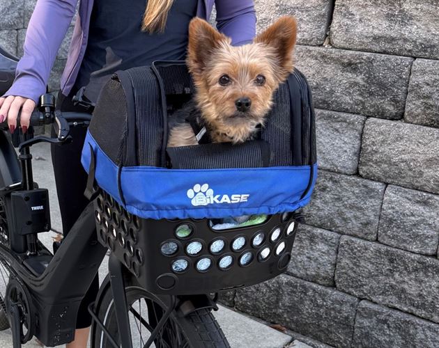 Cooper Runs the Roost