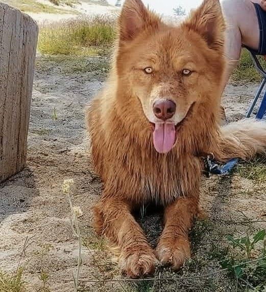 Family Photo Album 4