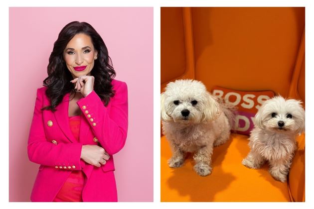 Dogs of the Team