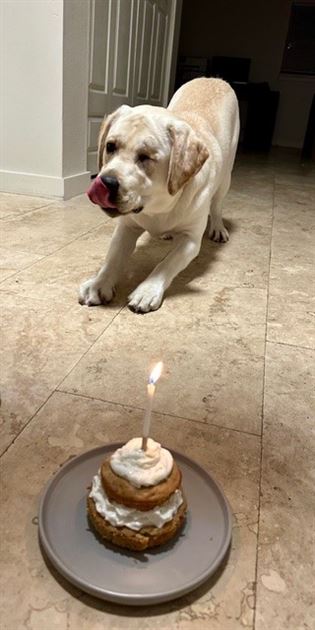 Mila, Jack Nicklaus, and Riko