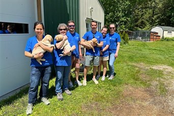 Our team got together for our Annual Day of Service in Exeter, NH.