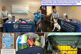 National Day of Service - Brevard Humane Society