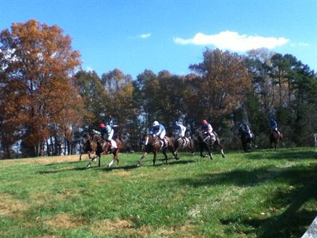 Day at the Montpelier Hunt Races