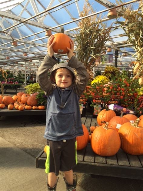 Fall Pumpkin Shopping