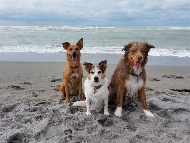 My family