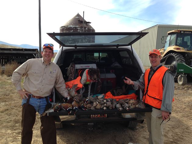 2013 Utah Pheasant Hunt