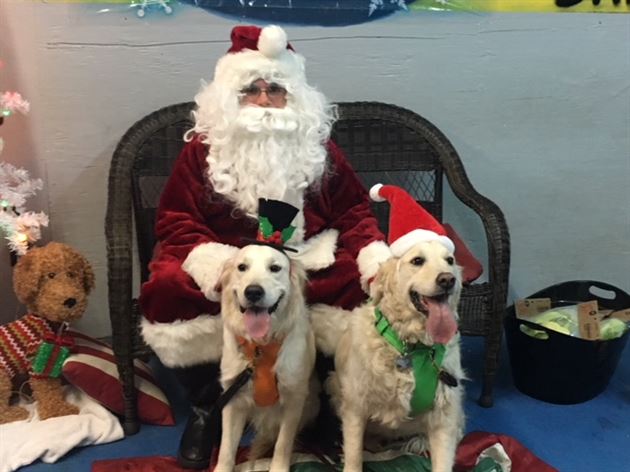 Finn & Pearl with Santa for Charity