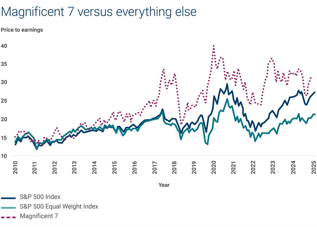 Magnificent 7 versus everything else graph