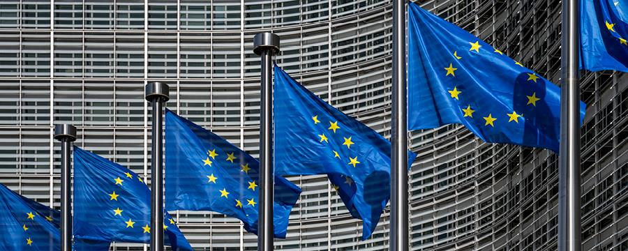 European Union flags flying in Brussels.