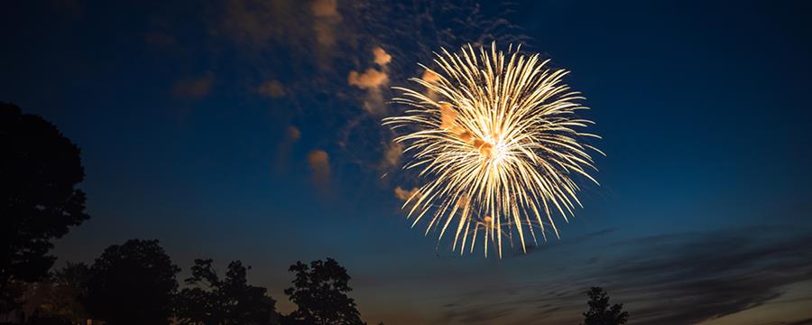 Fireworks against a dark night sky.