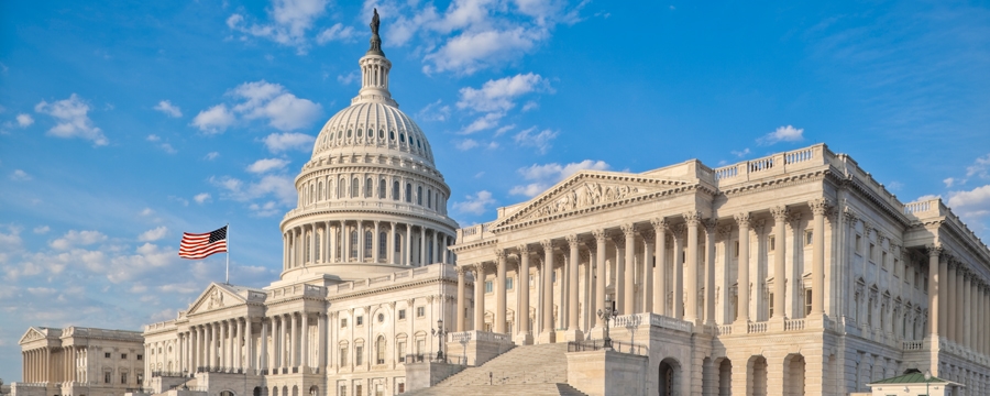 Picture of the United States Capital with a dome