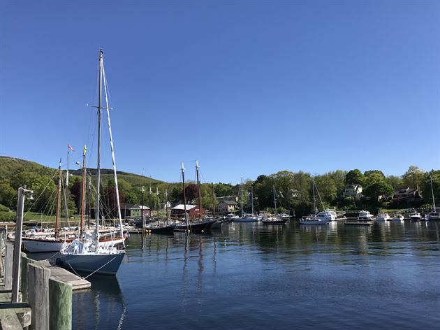 Our Office View in Camden Maine