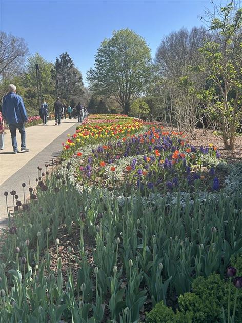 Atlanta Botanical Gardens!
