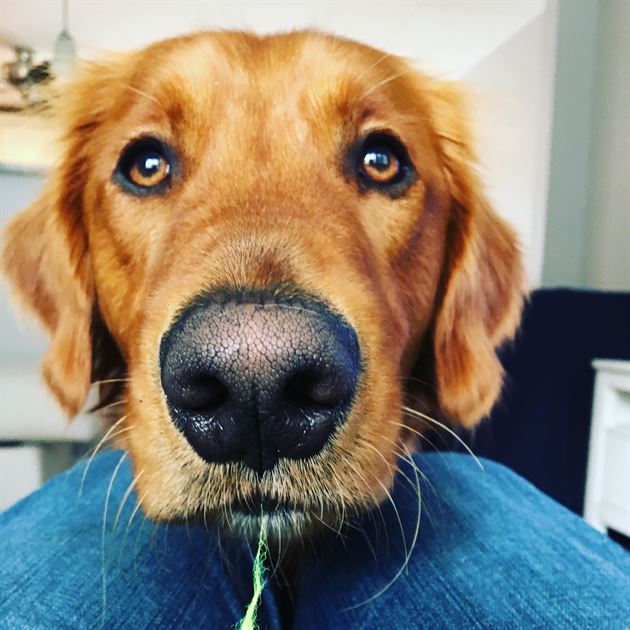 Cormier Financial Partners Team Profile Ameriprise Financial