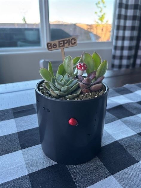 EPIC Succulent Arranging Workshop