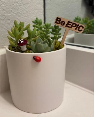 EPIC Succulent Arranging Workshop