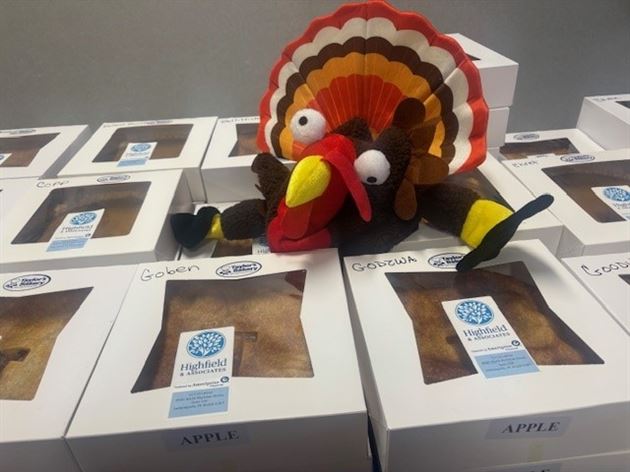 2025 Thanksgiving Pie GOGO