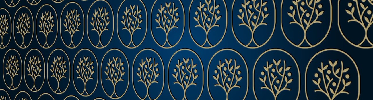 Hero image for LifeBranch Wealth Partners
