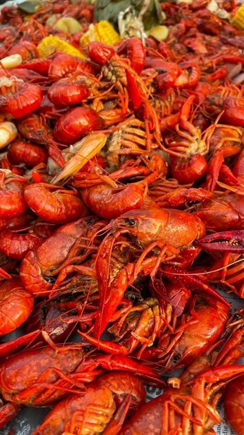 First Annual Crawfish Boil!- 2023
