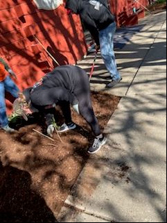 Volunteering